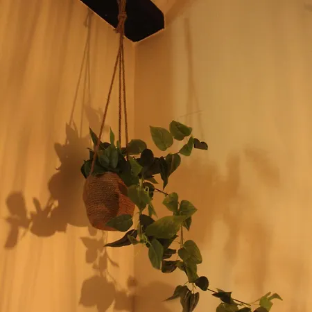 Apartment Cozy Valencia