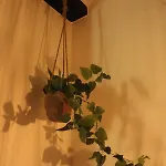 Lägenhet Cozy Valencia
